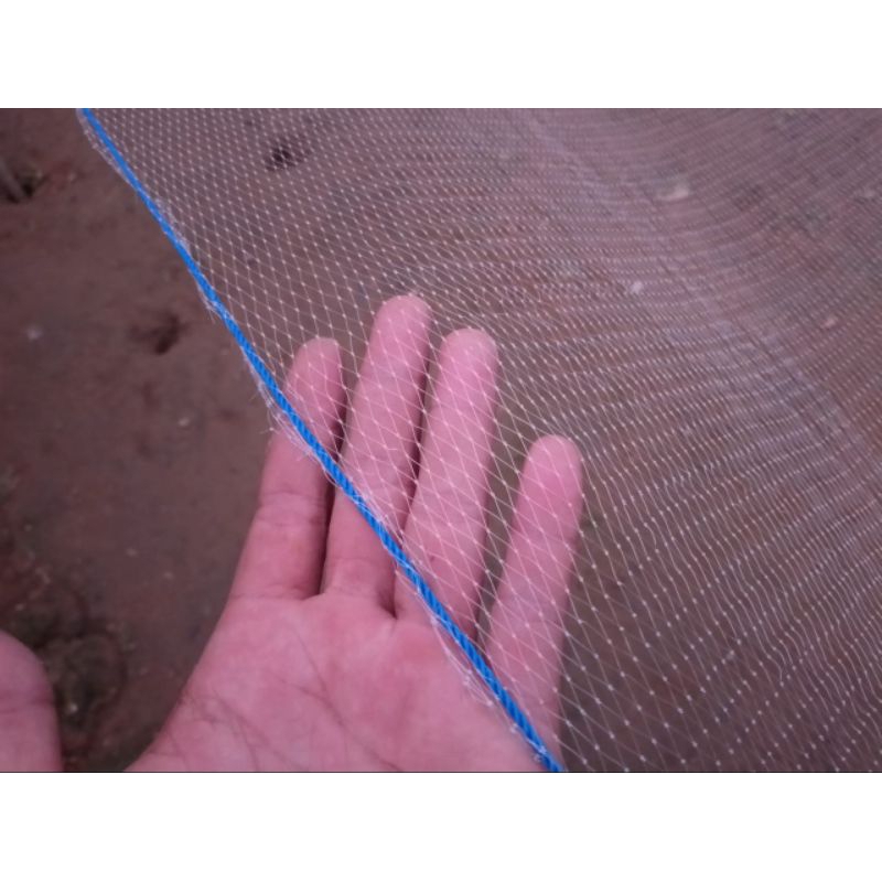 Jaring anco udang ukuran 2,5 × 2,5 meter branjang udang