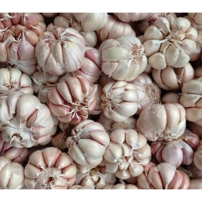 Bawang Putih 1kg