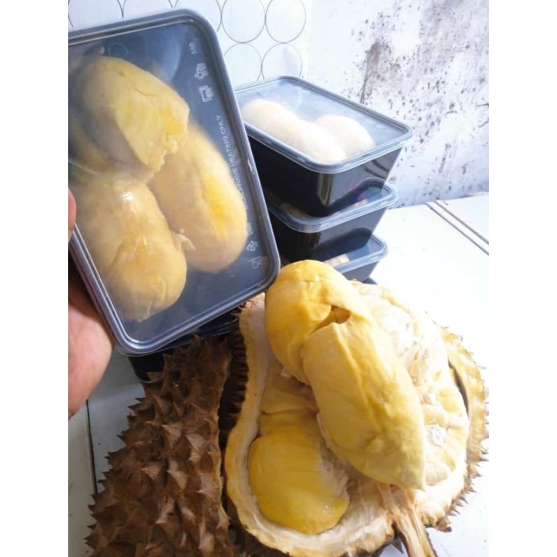 DURIAN MONTONG & DURIAN MEDAN 500GR