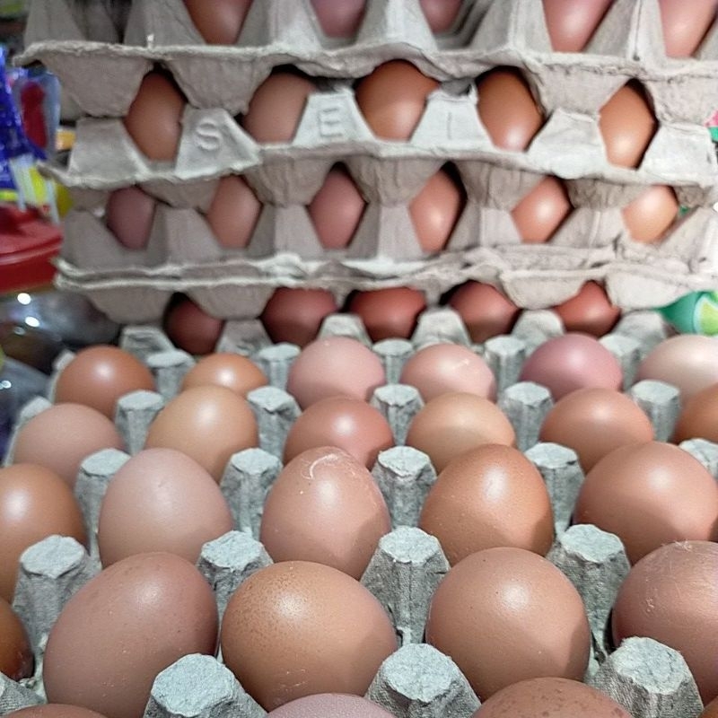

telor ayam super 1 kg