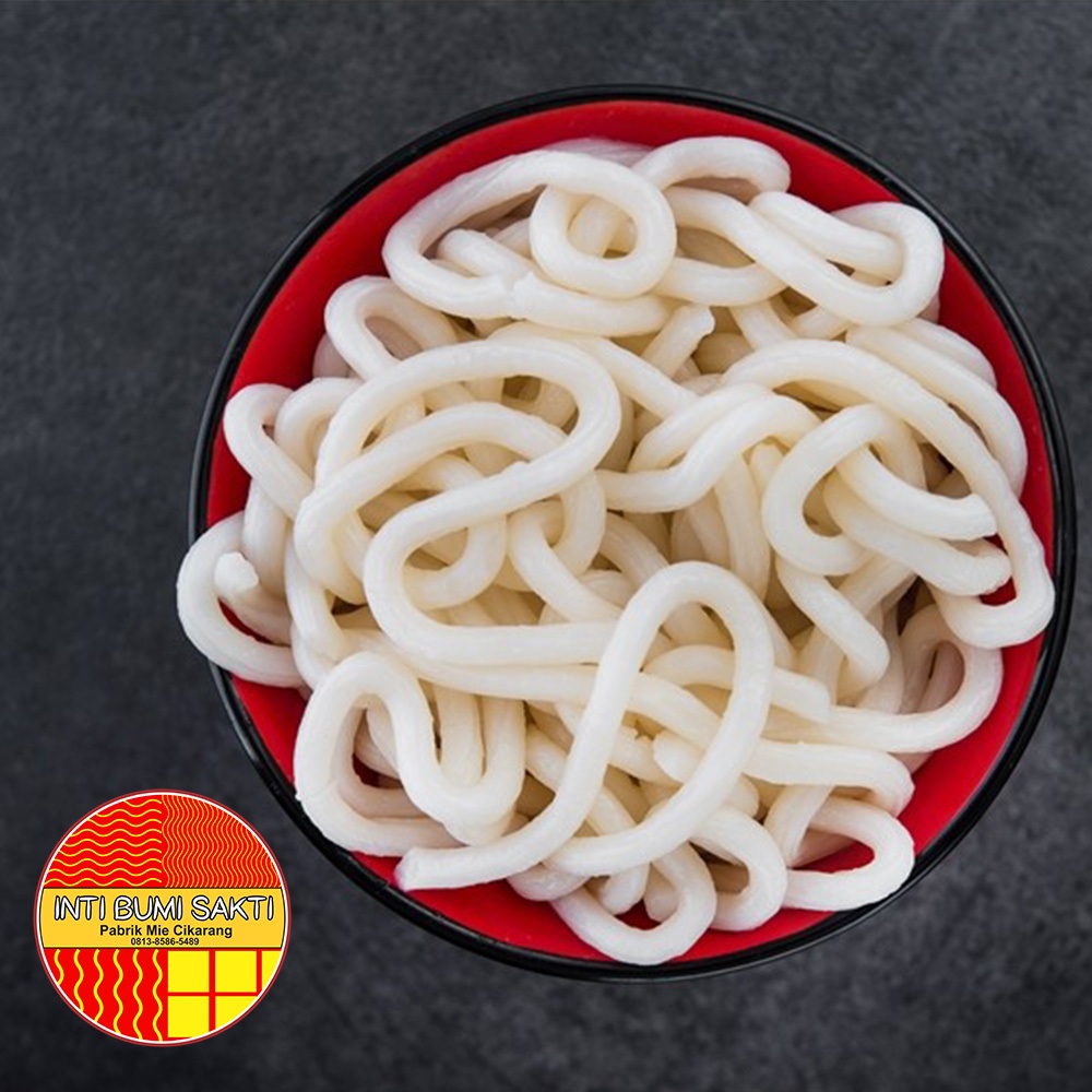 

LAKU Mie Mentah Lurus UDON Orinal Telur Ayam Super Premium Spesial Untuk Mie Ayam, Bakmie, Ramen Dan