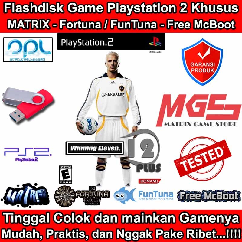 Flashdisk Game PS2 PS 2 Winning Eleven 12 Plus
