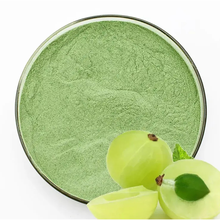 

Bubuk Jus Amla Mudah Larut Tanpa Ampas / Sprayed Dried Buah Malaka 100Gr