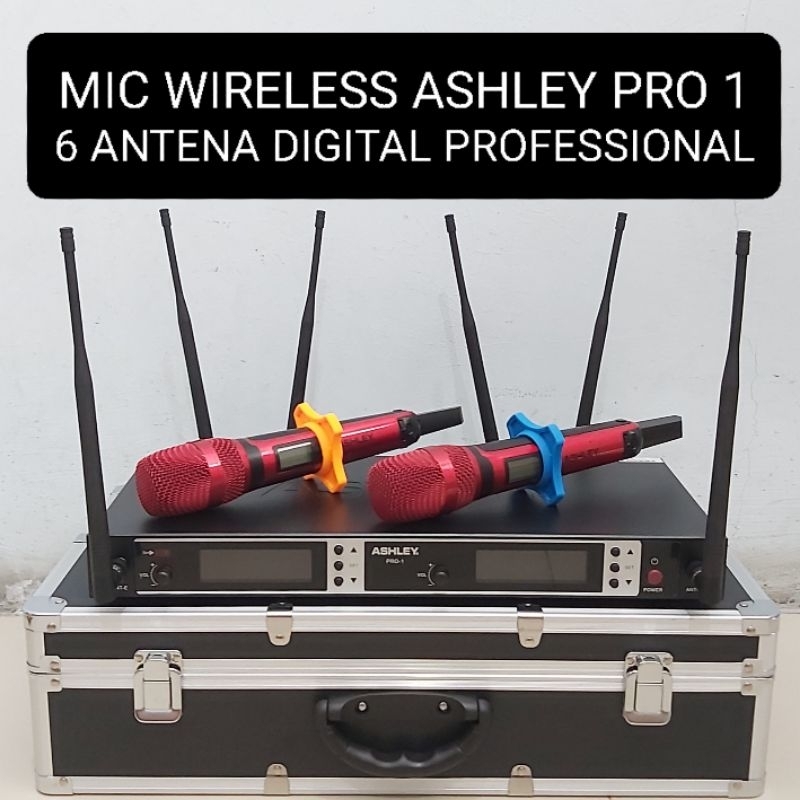 ASHLEY Mic Wireless PRO 1 6 Antena 2 Microphone Professional