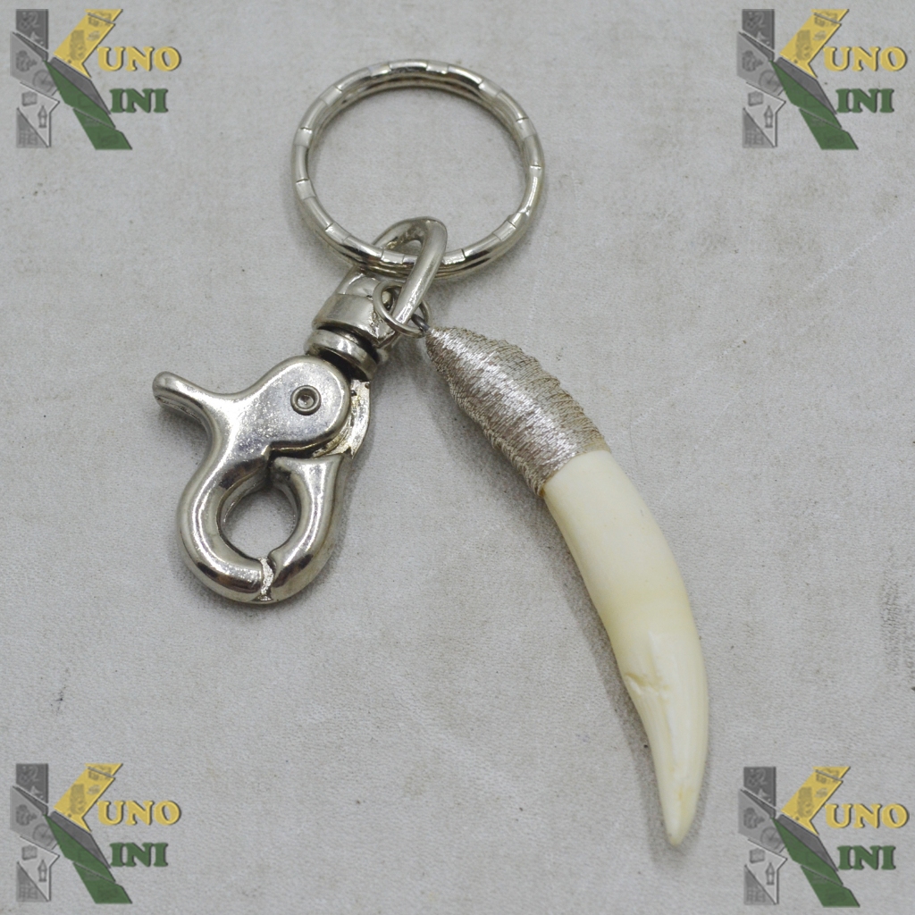 GANTUNGAN KUNCI GIGI BUAYA ASLI V, from Malaysia