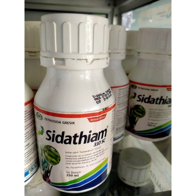 sidathiam 310sc insektisida sistemik dan lambung
