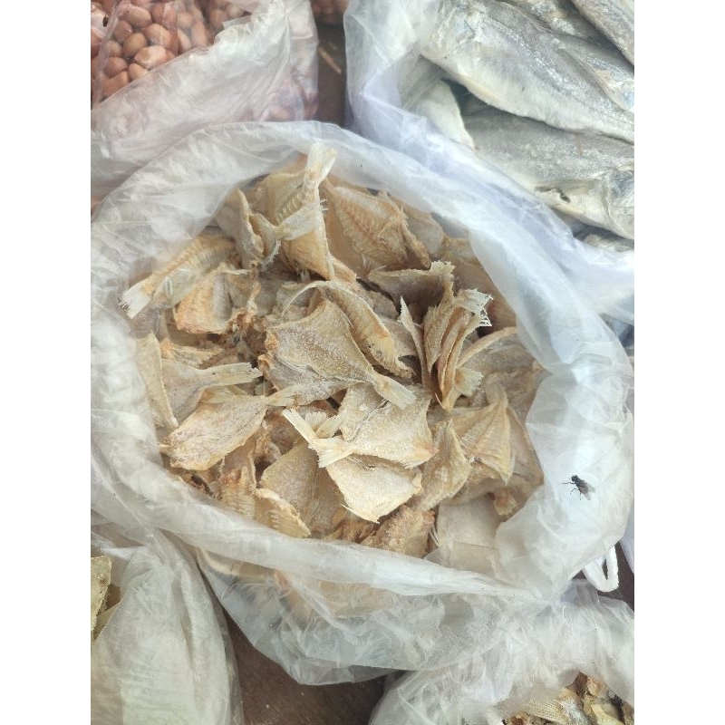 

Ikan Kipas Asin Segar