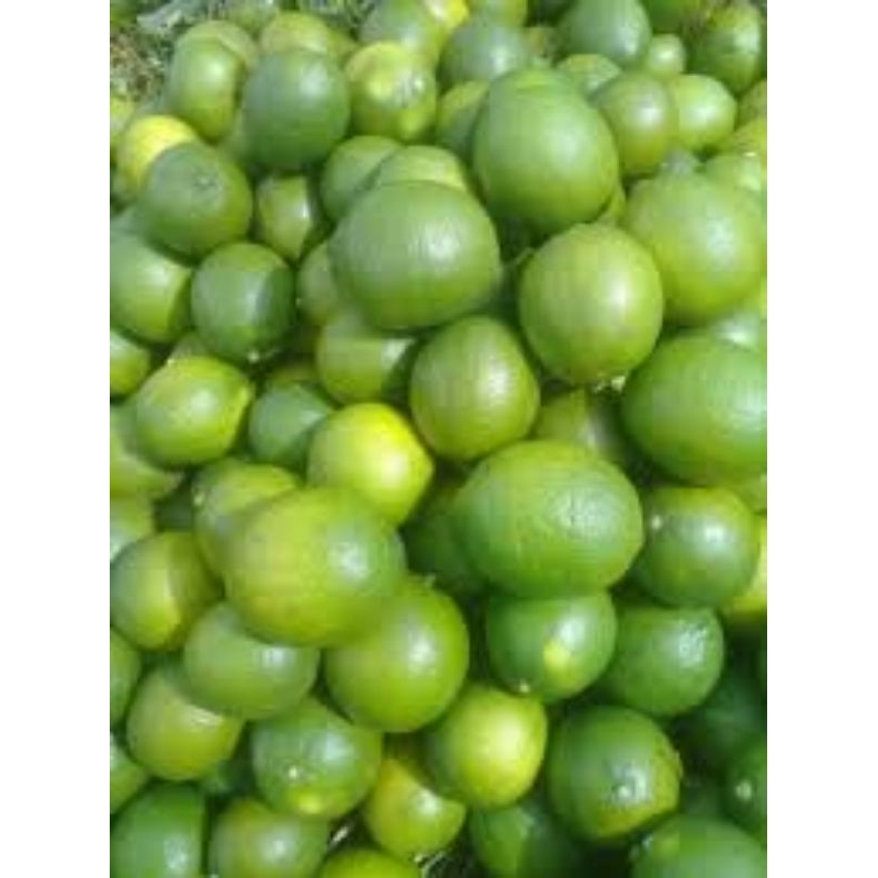 

500gr Lemon California segar petik langsung