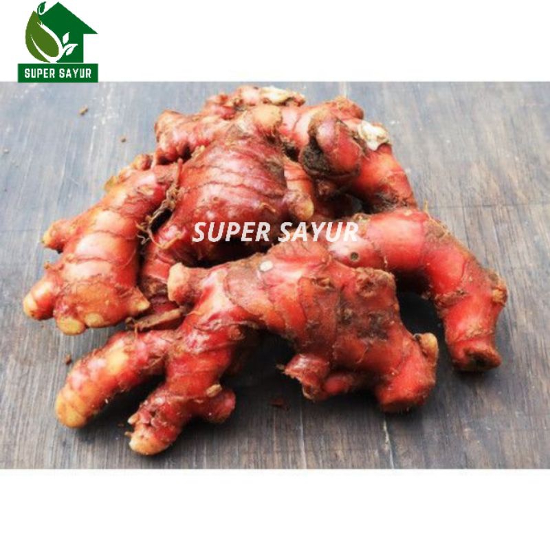 

Jahe Merah Red Ginger 200gr Super Sayur PENGIRIMAN INSTAN