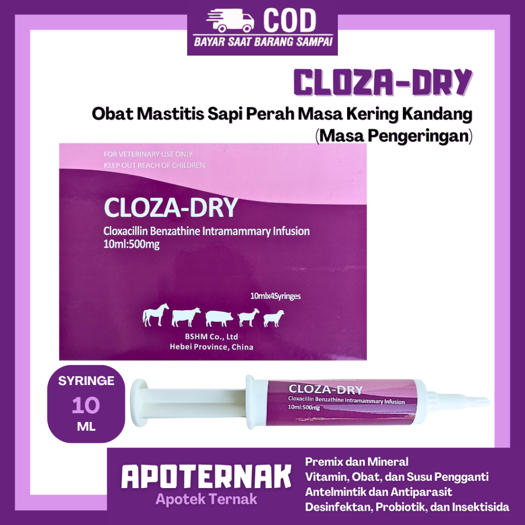 CLOZA DRY 1 Syringe | Obat Mastitis Radang Ambing Sapi Pada Masa Kering | Seperti Depolac | DUTCH FA