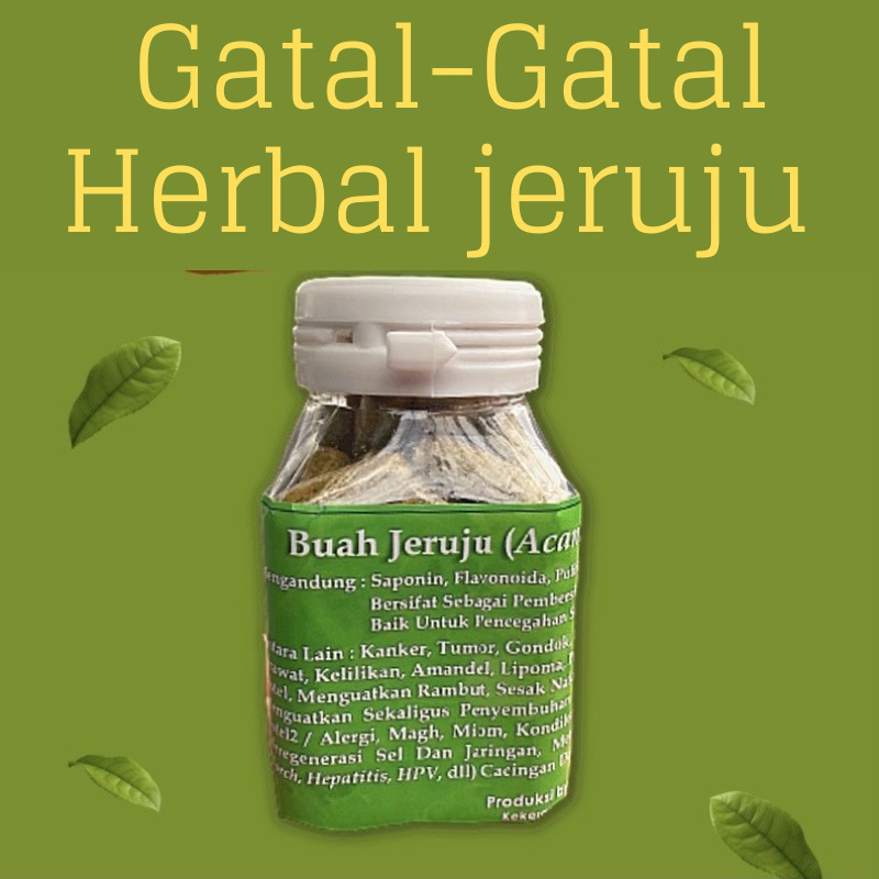 

Gatal - Gatal Herbal Jeruju