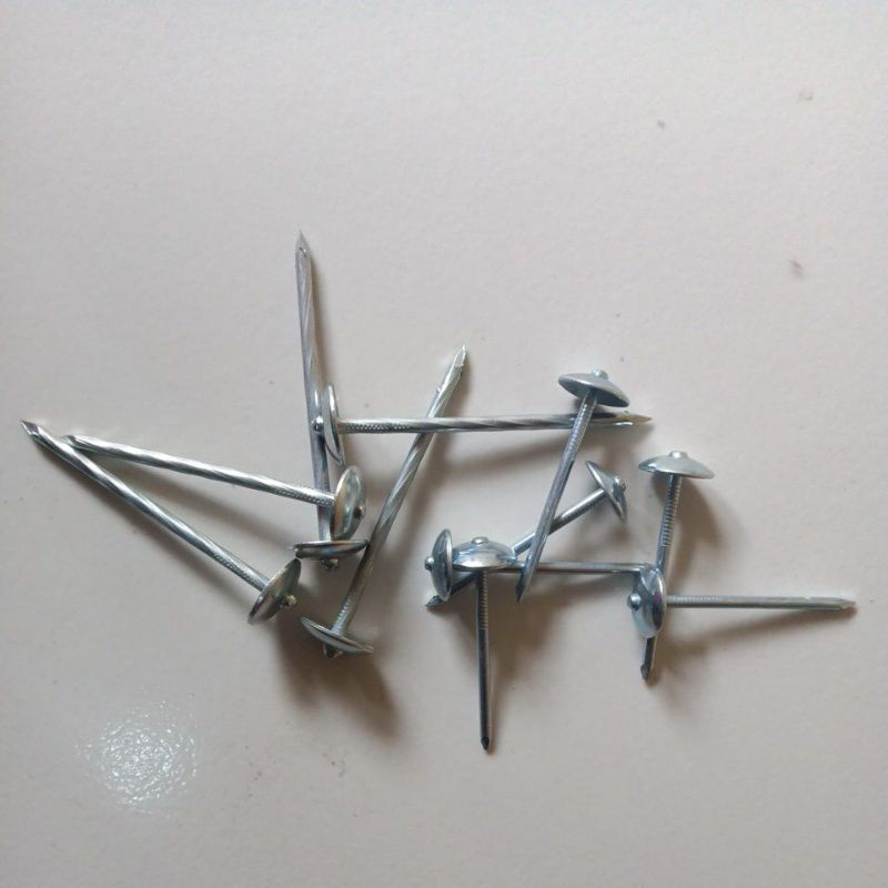 Paku payung / Paku Asbes