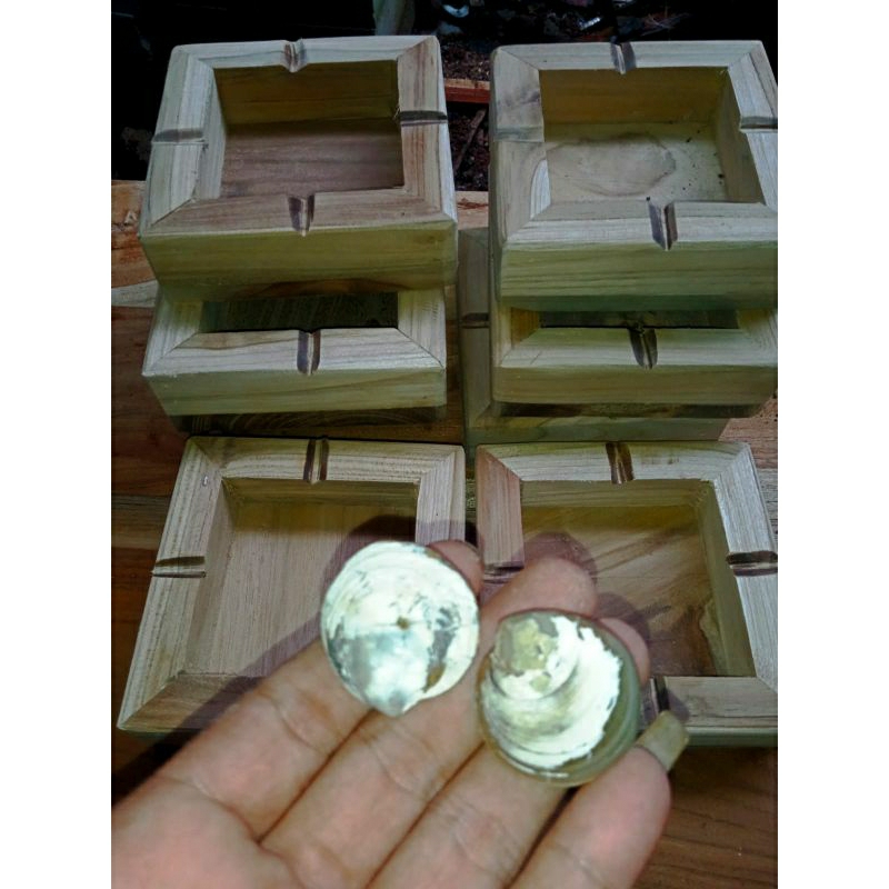 beli fosil kerang bonus asbak kayu jati
