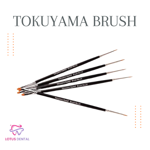 

Kuas Tokuyama Brush No 24