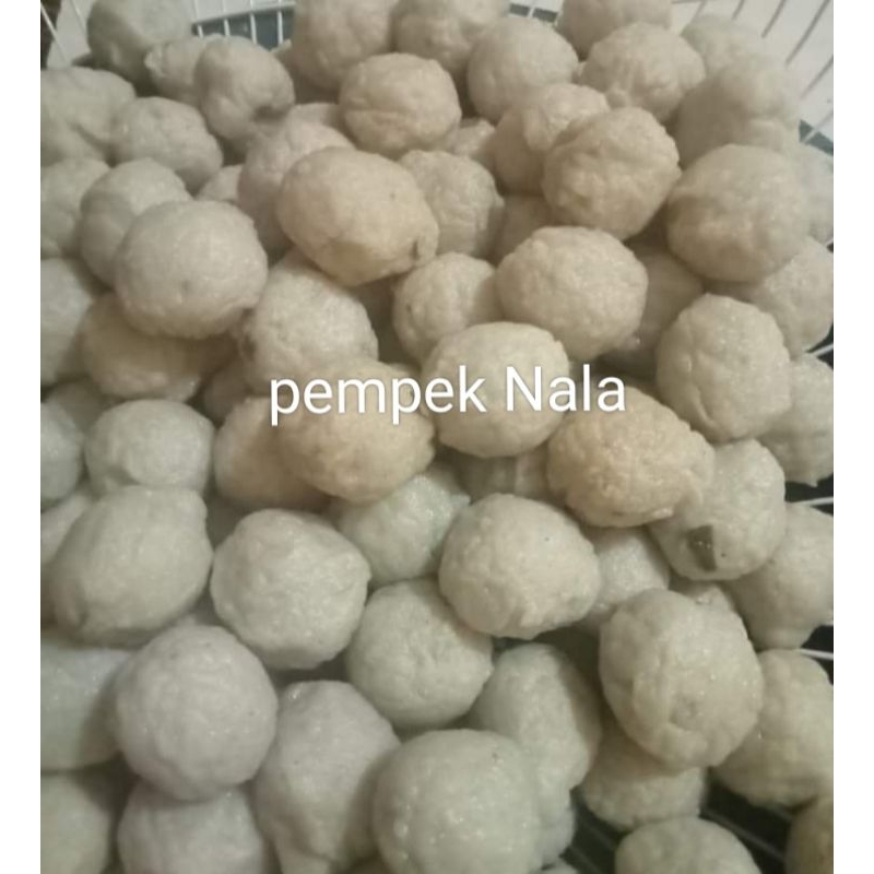 

pempek lenjer, kulit, adaan,telur, tekwan