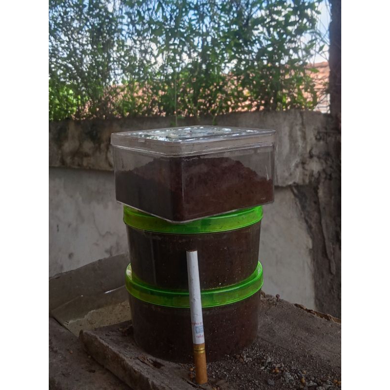

bubuk kopi kiloxok