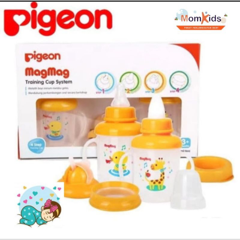 Pigeon MagMag Training