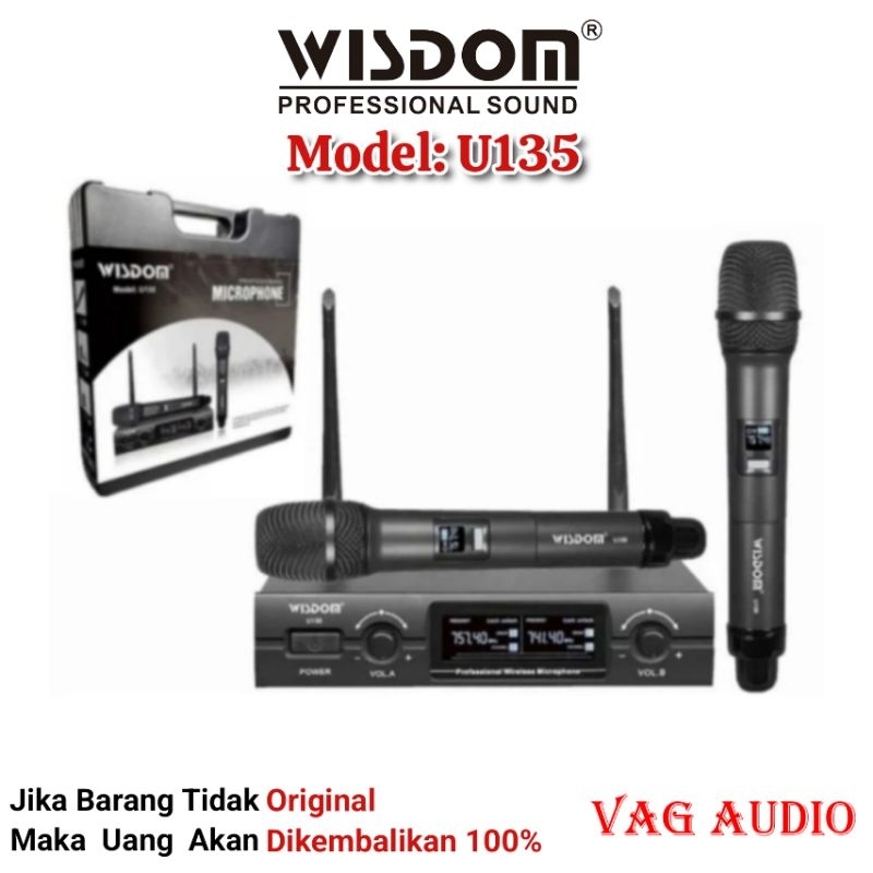 MIC WIRELESS WISDOM U135