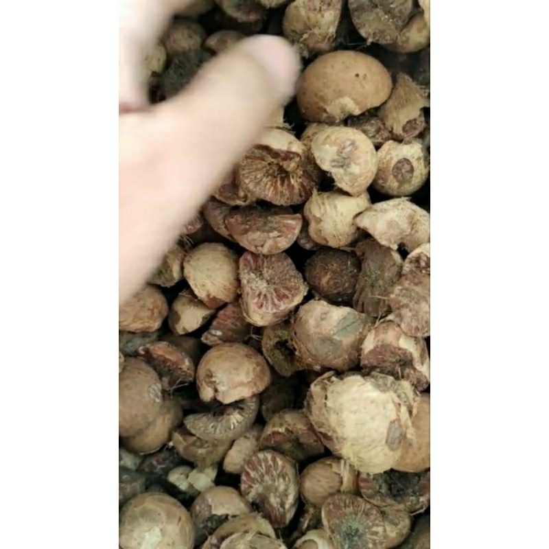 

Pinang muda kering 1kg