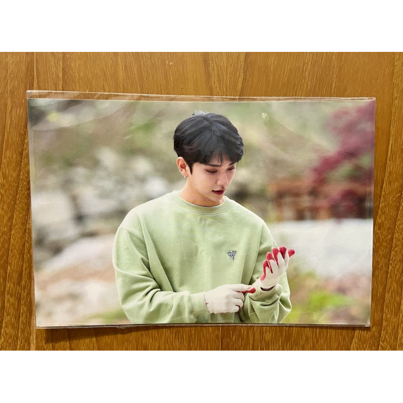 PostCard Joshua Seventeen In the Soop