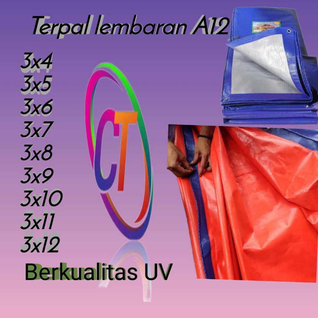 TERPAL PLASTIK UKURAN 3X10 METER A12 KOREA TEBAL