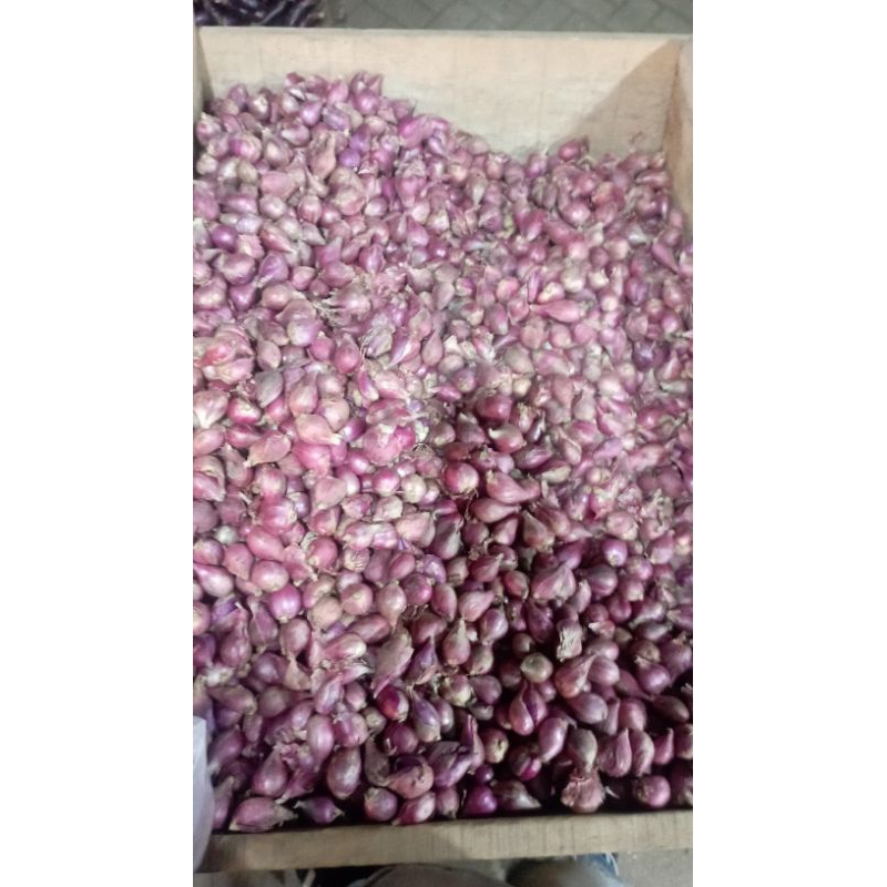 

bawang merah brebes 250 gram