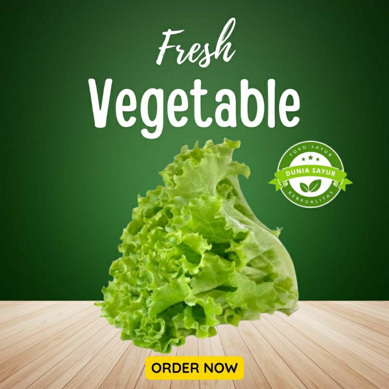 

Selada Keriting / Lettuce 500gr