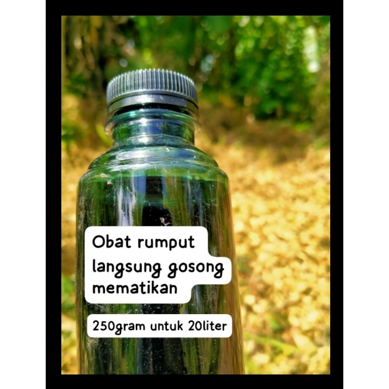 obat rumput langsung mati
