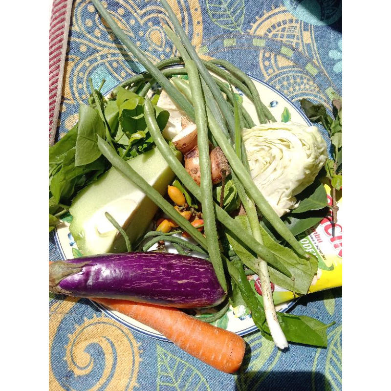 

paket sayur lodeh