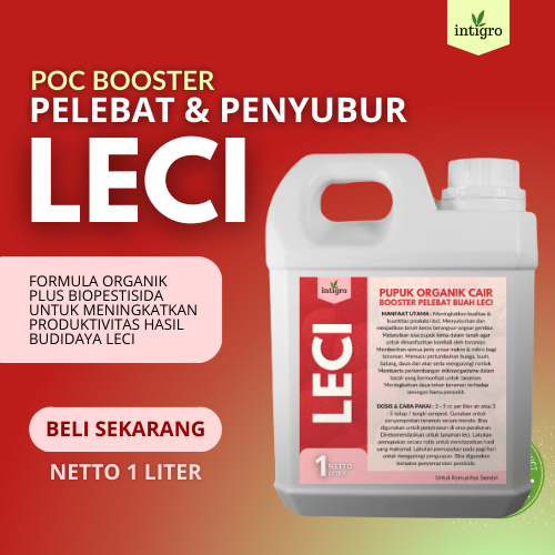 Pupuk Buah Leci / Pupuk Leci Cepat Berbuah / Pupuk Pelebat Buah Leci / Boster Pupuk Leci Pupuk Peran