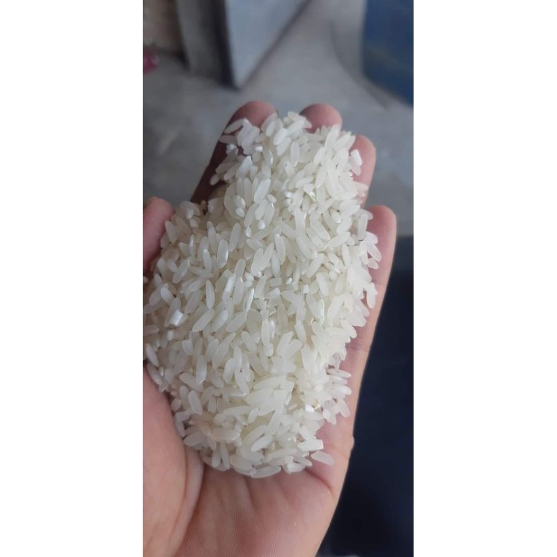 

Beras Lokal Kampung