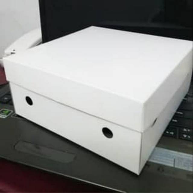 kerdus box nasi kotak putih
