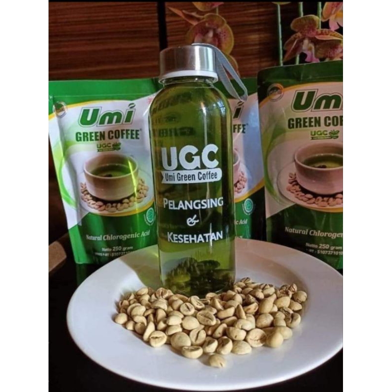 

UMI GREEN COFFEE KOPI KESEHATAN & PELANGSING