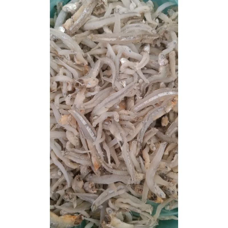 

Teri Nasi/ Medan Campur