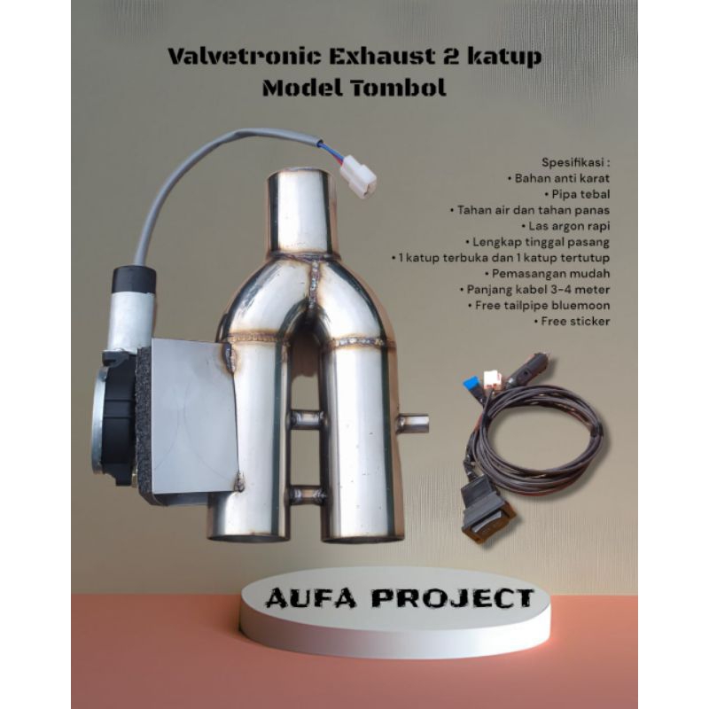 valvetronic 2 katup