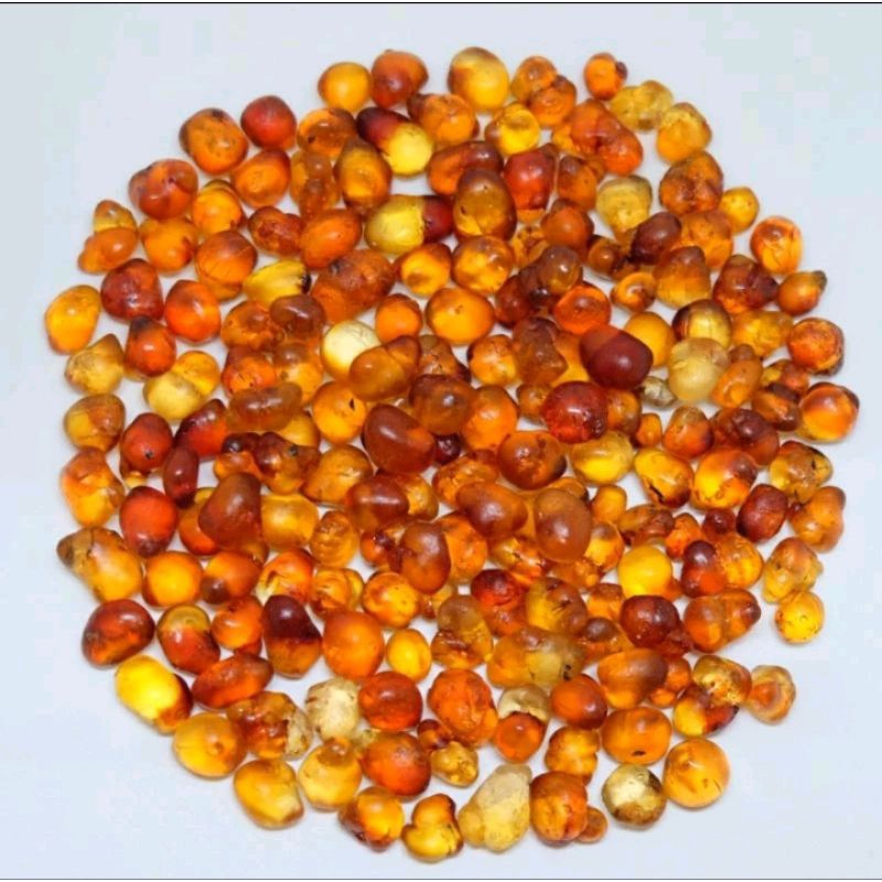 

500gt super peach gum premium, tao jiao bersih