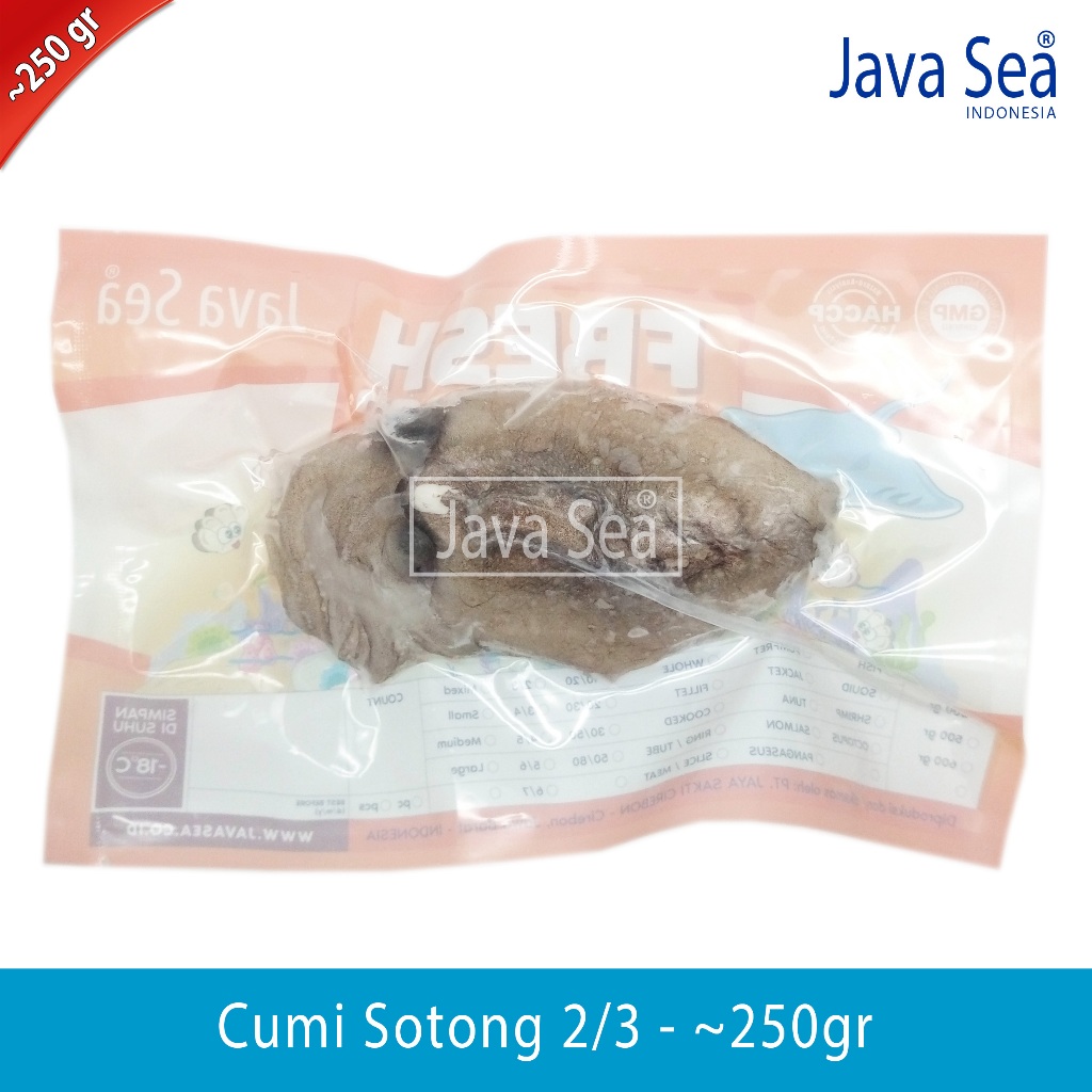 

Cumi Sotong Utuh / Blakutak 2/3 pack 200-300gr Java Sea