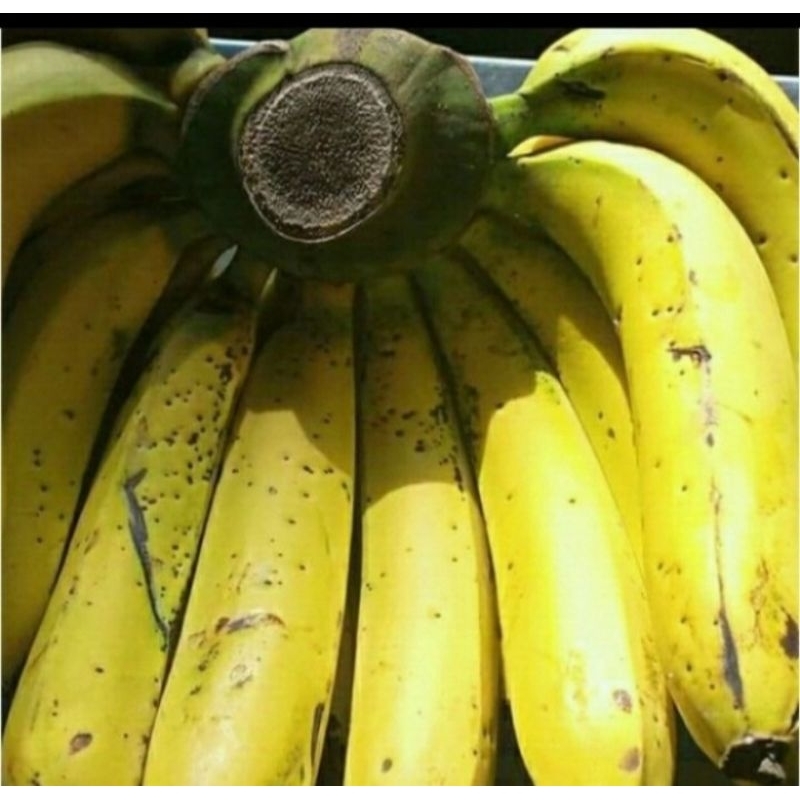 

Buah Pisang Ambon 1kg