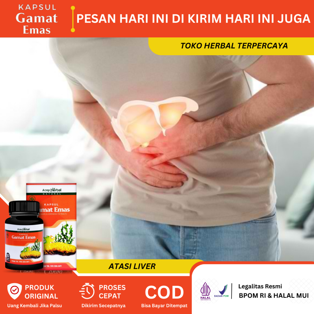 Obat Liver, Obat Liver Perut Bengkak, Obat Penyakit Kuning, Pembengkakan Hati, Liver Kronis Dan Ring