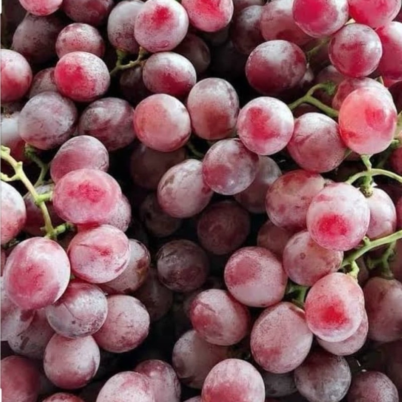 

BUAH ANGGUR segar