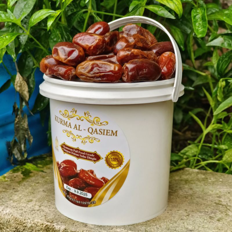 

KURMA TOPLES EMBER AL QASIEM / KURMA AL QASSIM / AL QASSIM