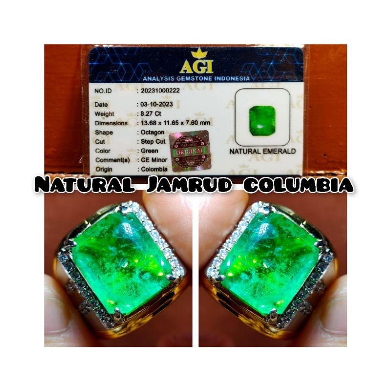 ORIGIN PERTAMA JAMRUD COLUMBIA BOLD