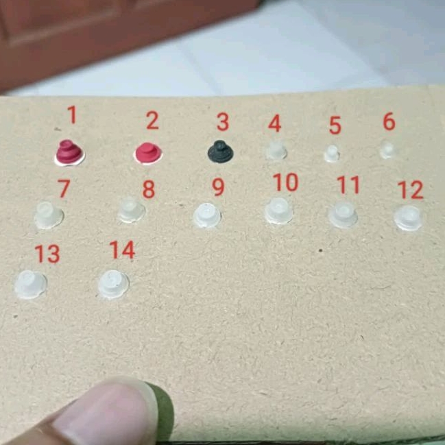 Karet Tuts Keyboard