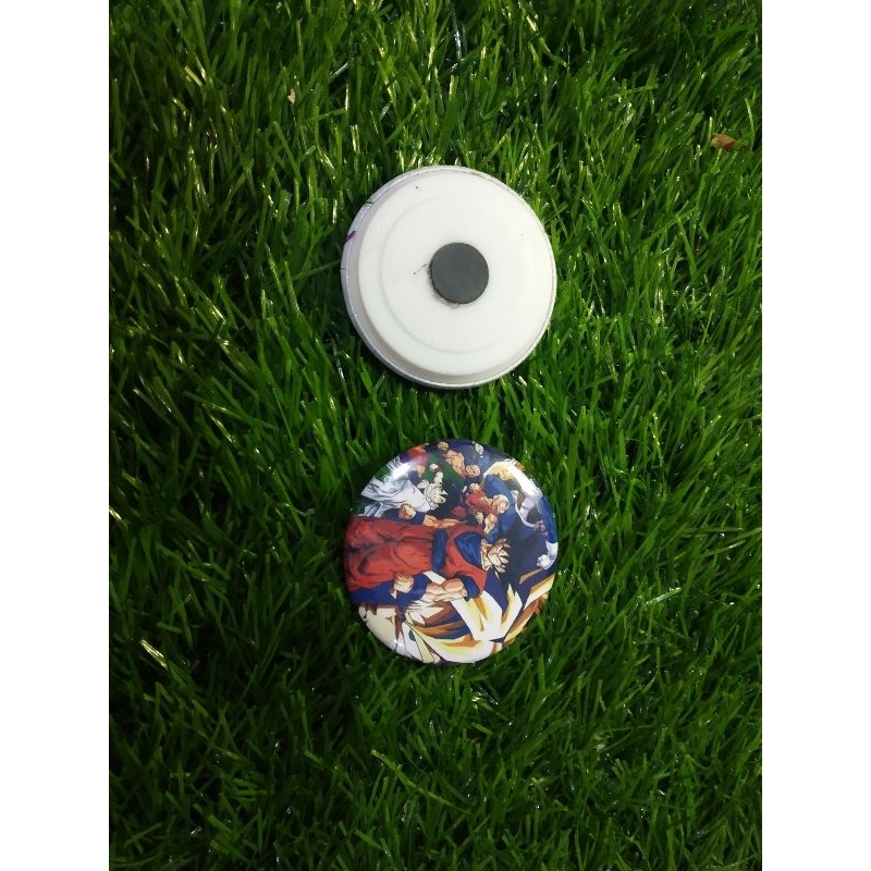 pin magnet dragon ball