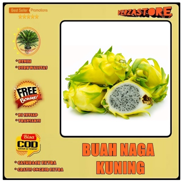 Biji/Benih/Bibit Buah Naga Kuning Yellow Dragon /10 Biji