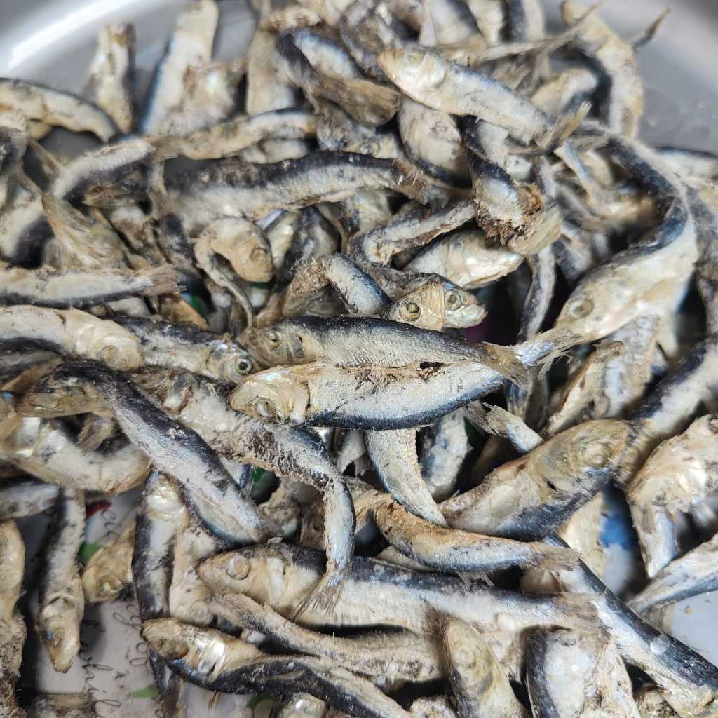 

Ikan Asin Japuh Kecil 1kg