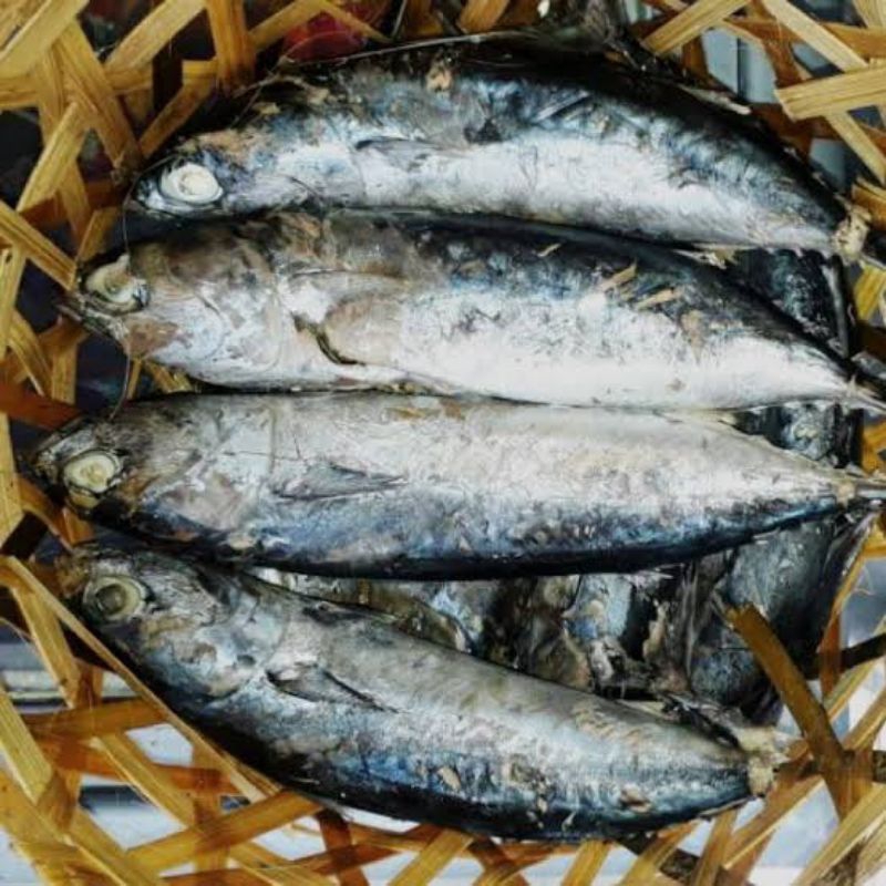 

Ikan Pindang Tongkol/ekor