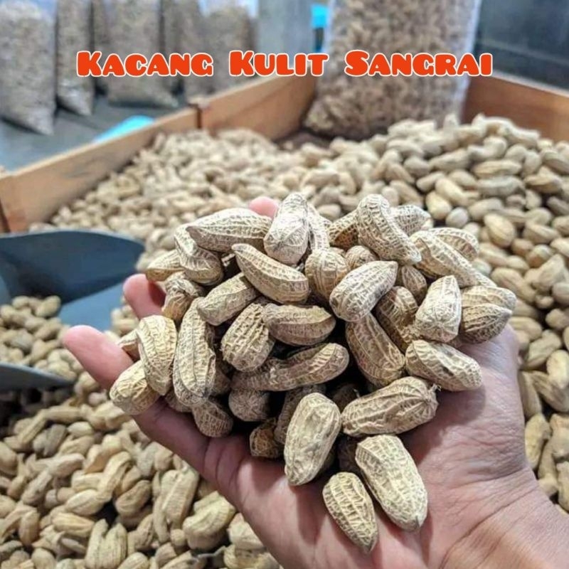 

KACANG KULIT SANGRAI SUPER KEMASAN 500 GRAM