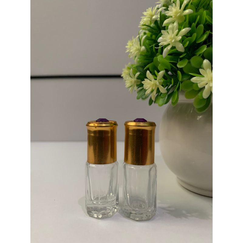 Botol Kosong Roll On 3ml Botol Minyak Harum Oles Parfum Roll On Botol Kosong Beli 12pcs Harga Grosir