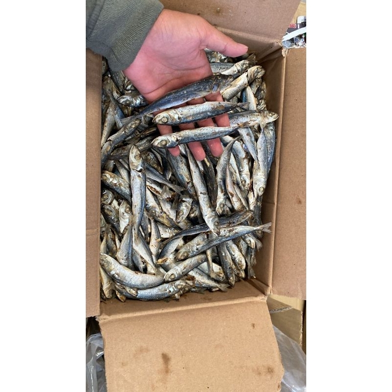 

Ikan Asin Cue Rebus 250gr